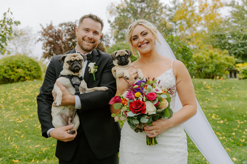 bride and groom smiling with their dogs