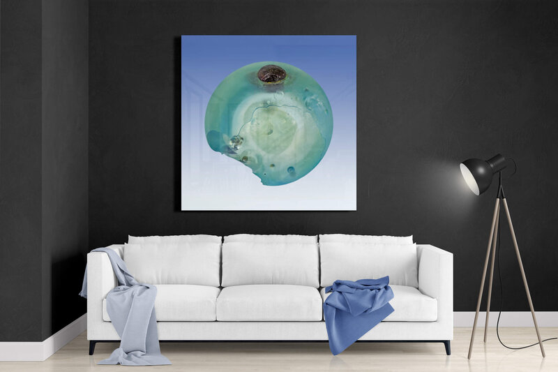 Fine Art featuring Project Stardust micrometeorite NMM 789 Acrylic and Aluminum Panel Rm 1