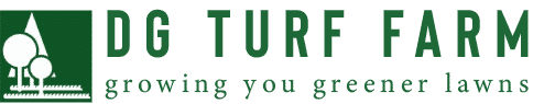 logo-banner-green