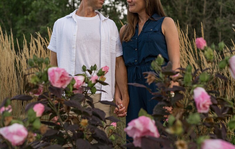 Engaged couple holding hands among pink roses at Coxhall Gardens in Carmel, Indiana