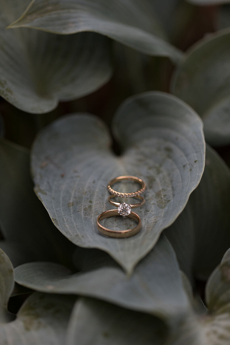 Wedding rings in a leaf