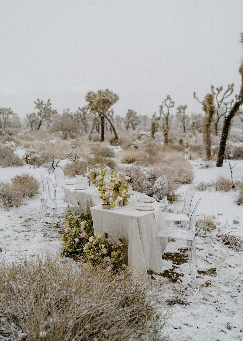 JoshJoshua Tree Elopement Photographerua Tree Wedding Photographer