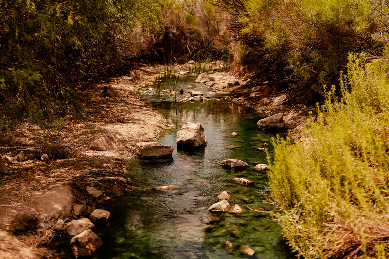 Riperian Reserve-78