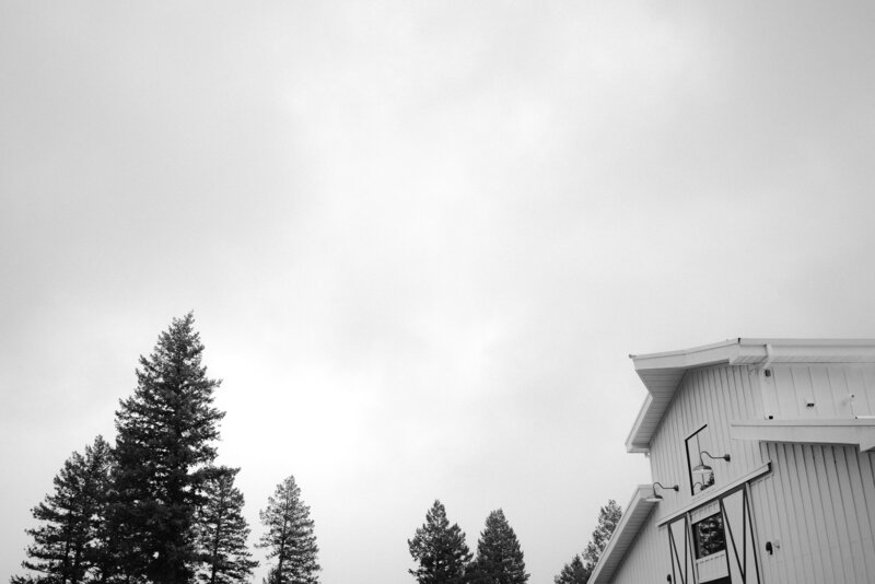 Haley-Sean-Woodlands-Colorado-Wedding-07189