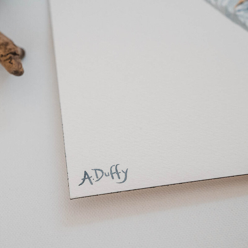 Signature of watercolor artist Amy Duffy on an original painting