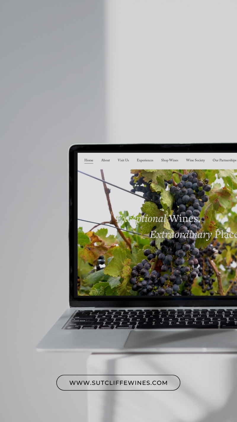 Grey Black Modern Website Laptop Mockup Instagram Story