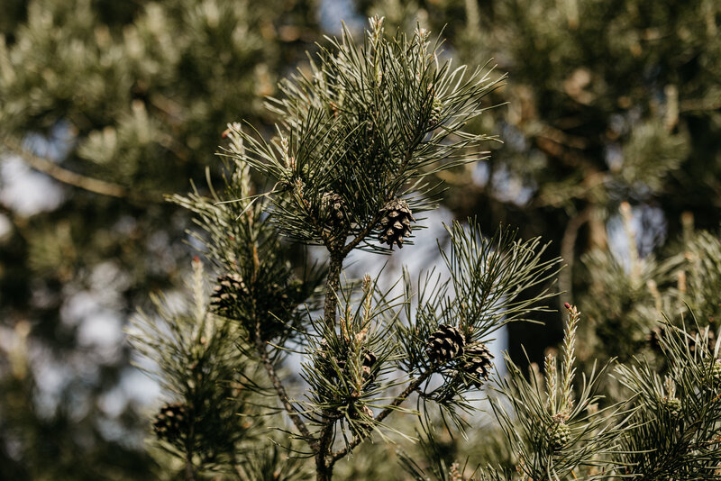 _U9A0494