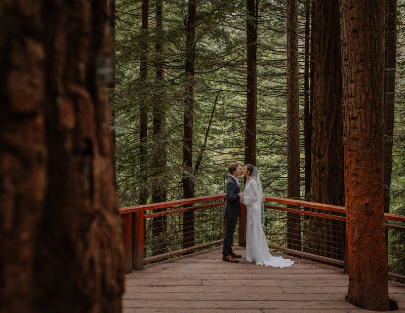 Bride and groom holding hands on a deck surrounded by redwoods