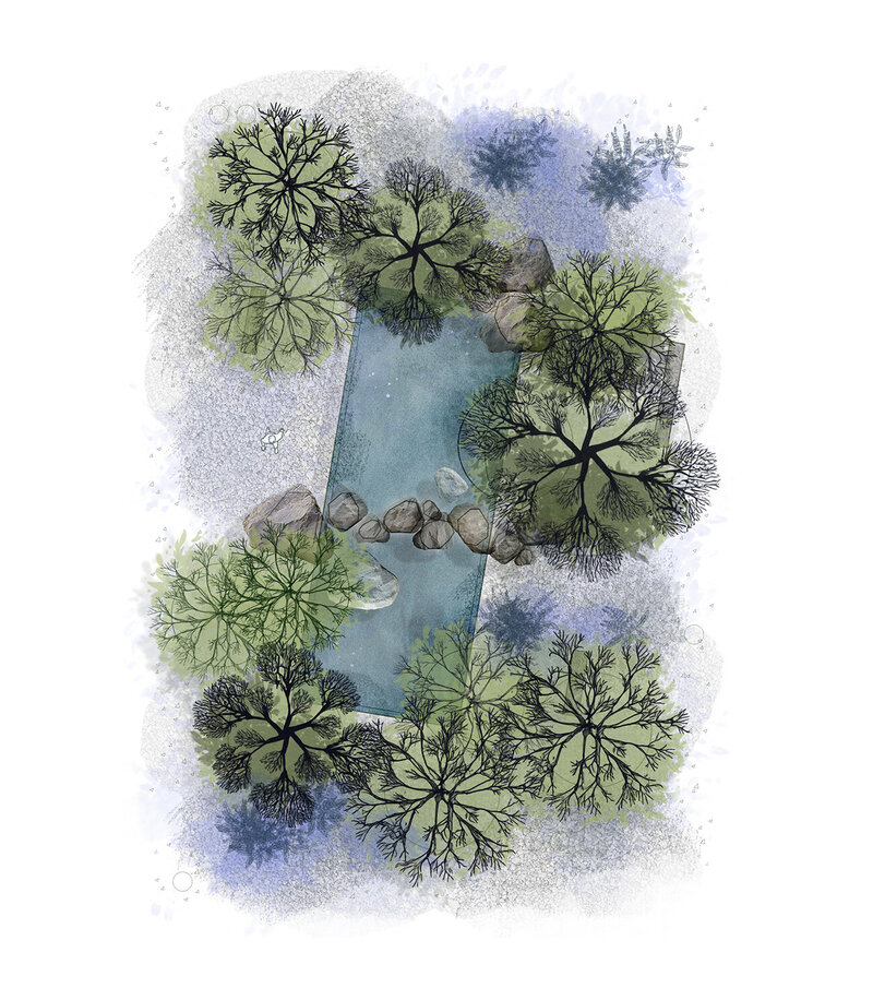 01 Taller de Plano Ilustrado Imagen 01