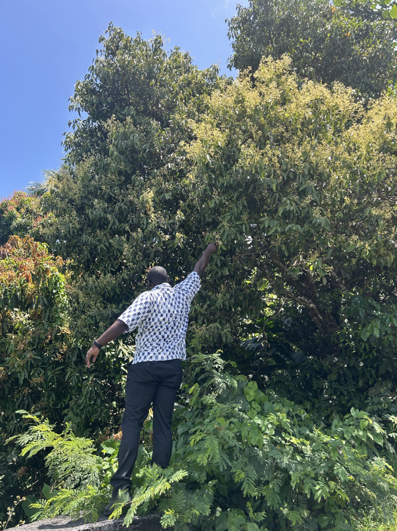 Screenshot 2025-11-07 at 7.14.42 PM