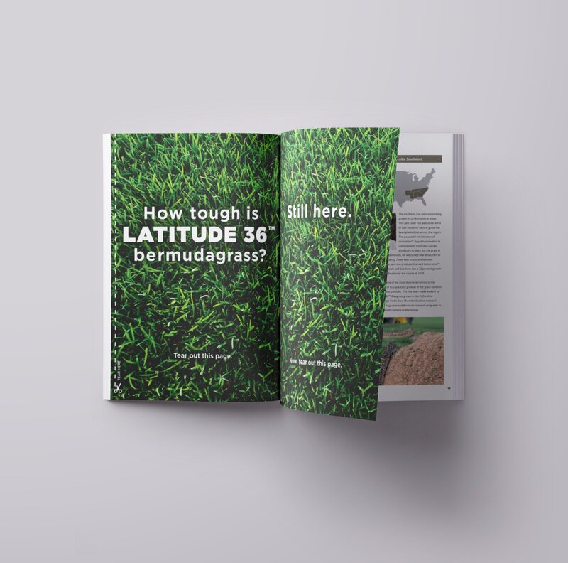 latmag4_edited