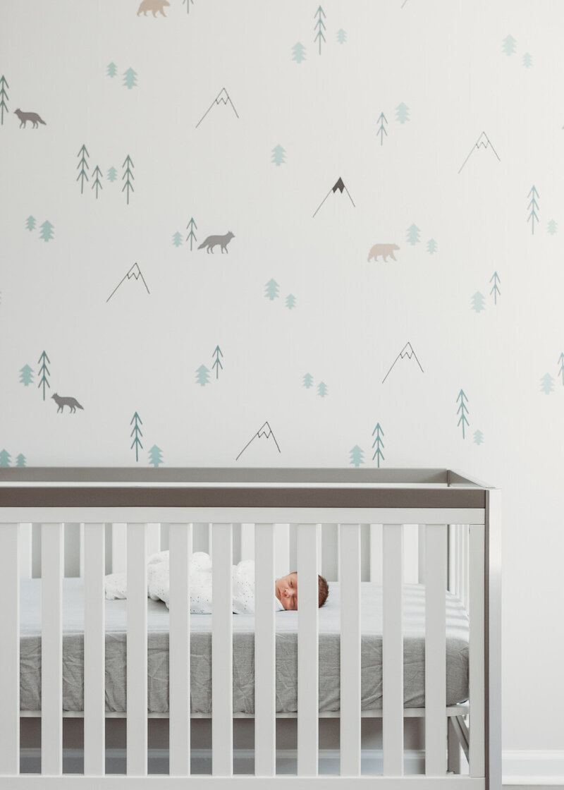 Stuart-newborn-nursery-sessions-georgetown-dc