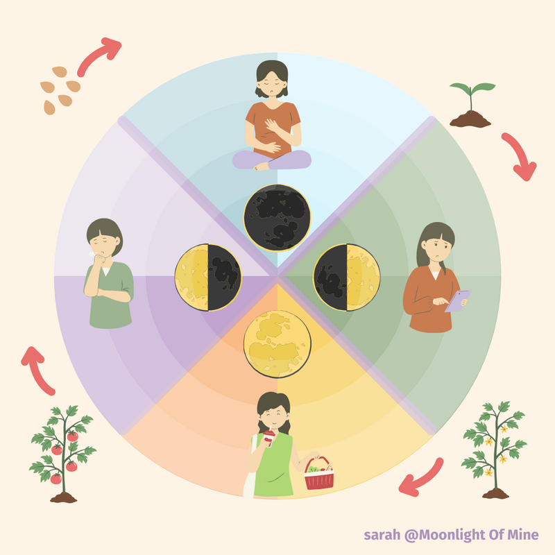 Seasons-Cycles-Infographic