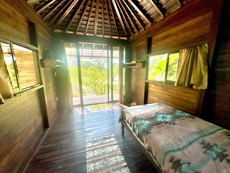Jungle Cabin Single 1