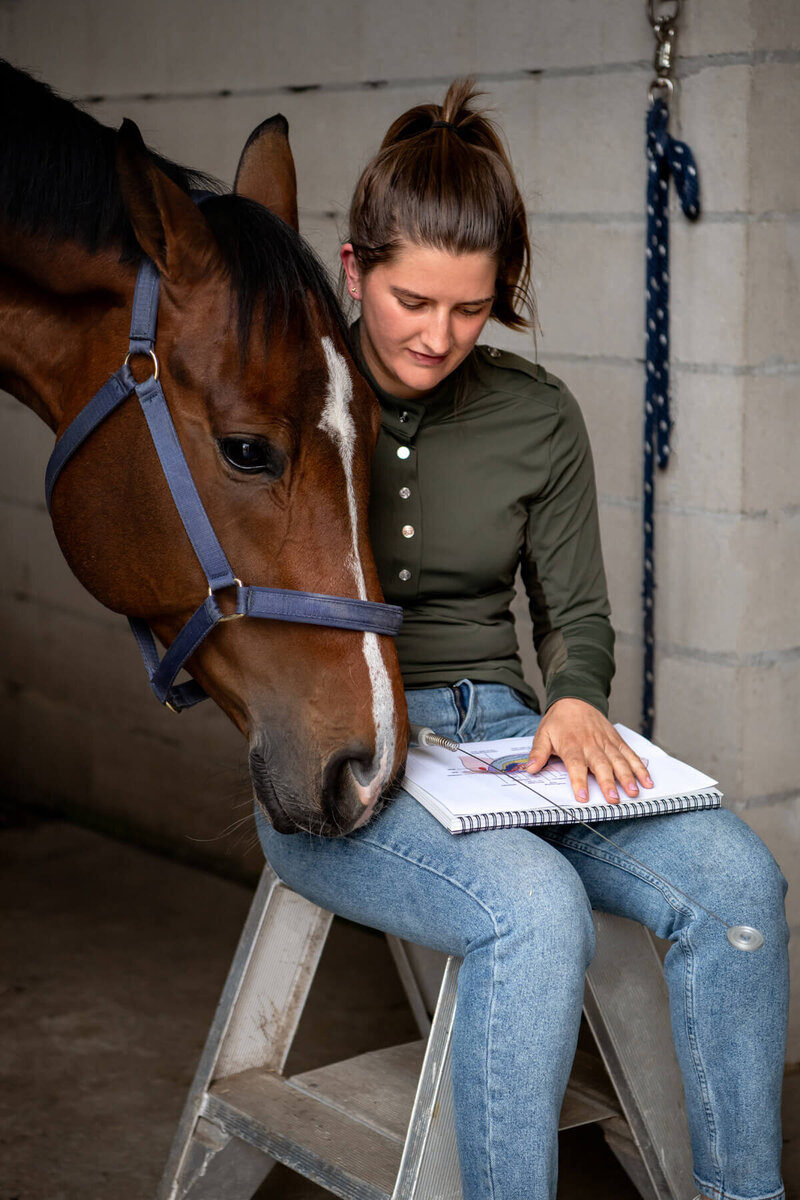 Energetische therapie bij paarden