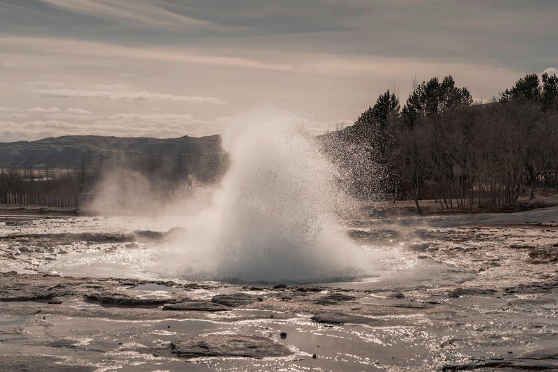 pexels-raulling-32277244