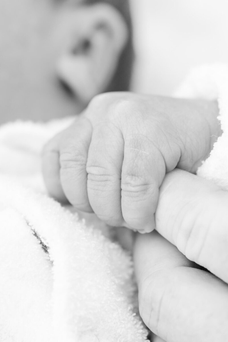 Rockhampton-Newborn-Photographer-111