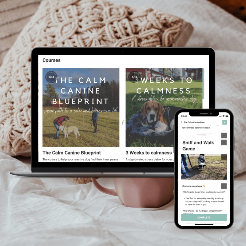 Online courses for reactive dogs  displayed on Mac and iphone