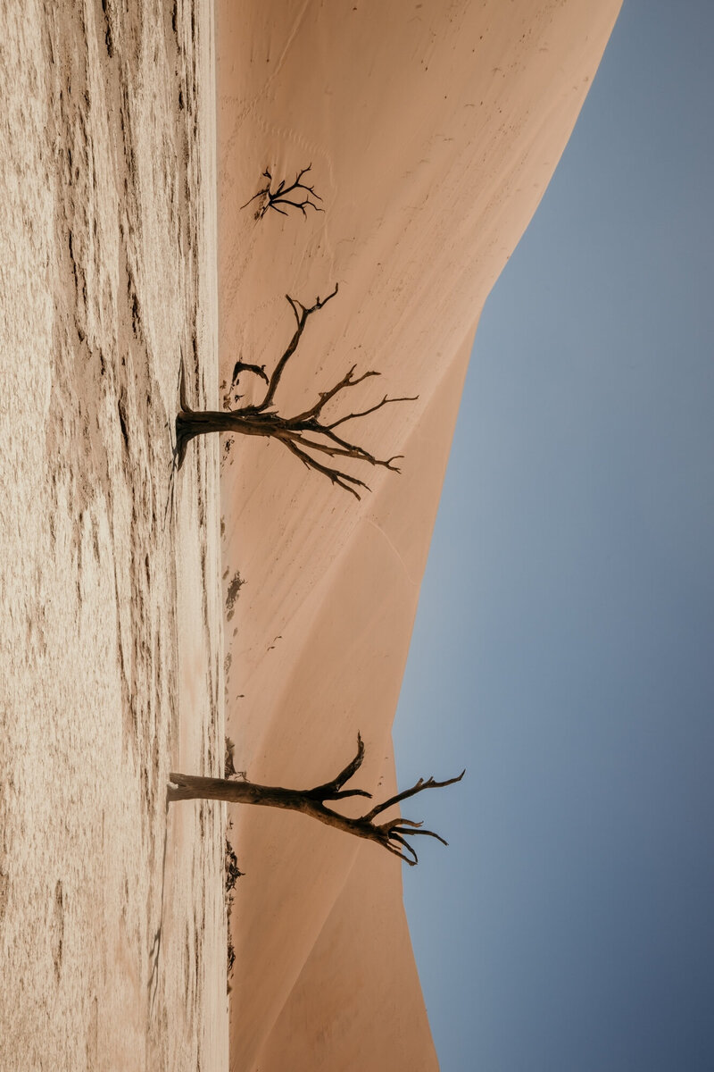 photo-voyage-lagirafequivole43