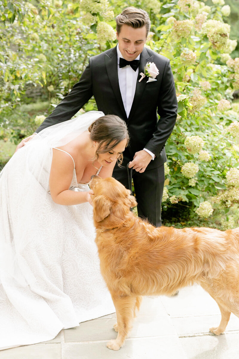 A first look between a bride and her dog at Airlie with Northern Virginia Wedding Photographer