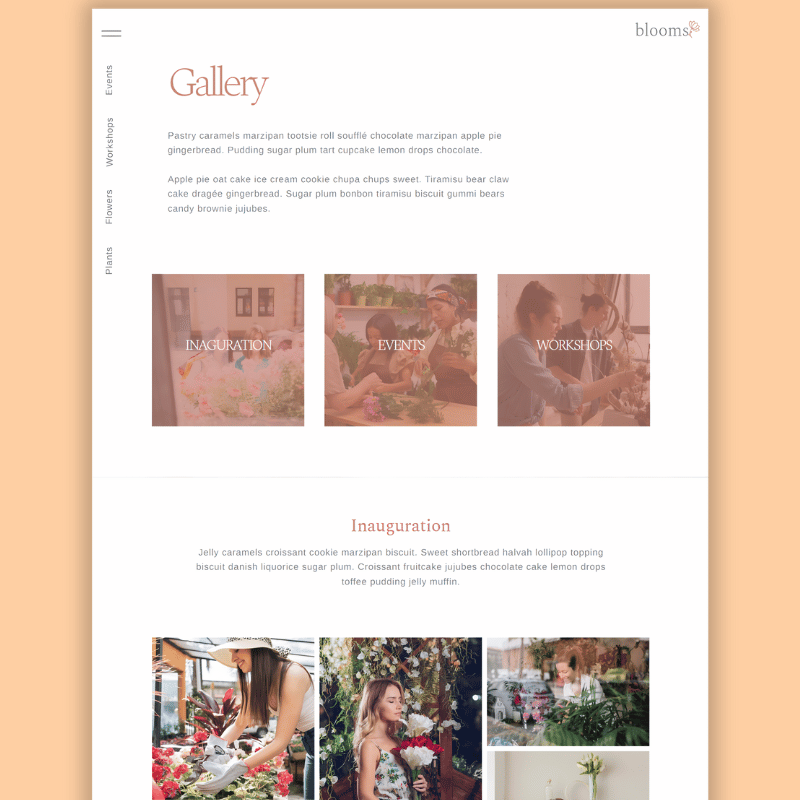 amelie-template-dreamxgo-img5