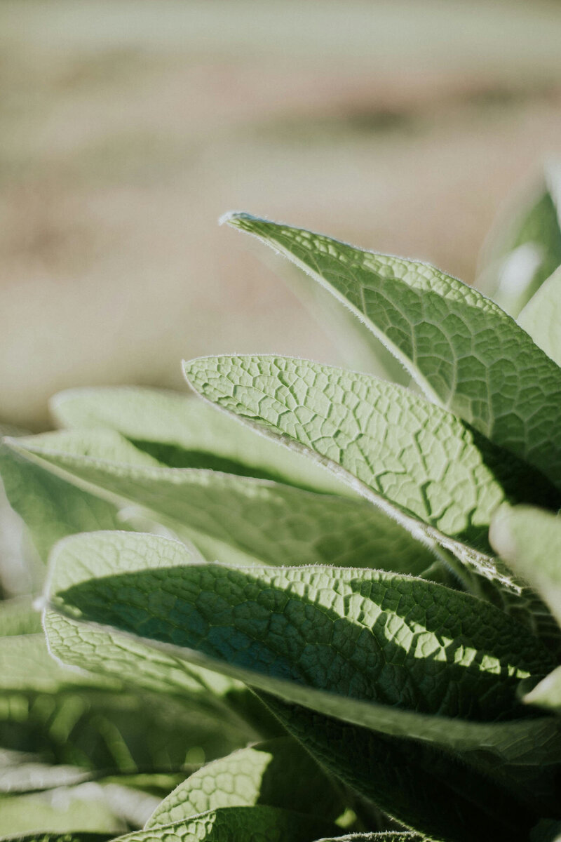 Ami-Swanson-Functional-Medicine-18