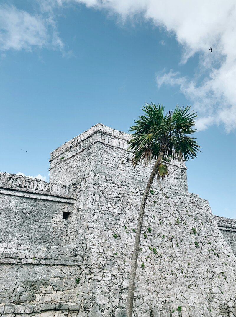 anna-sullivan-6OsfUWYMGtk-unsplash