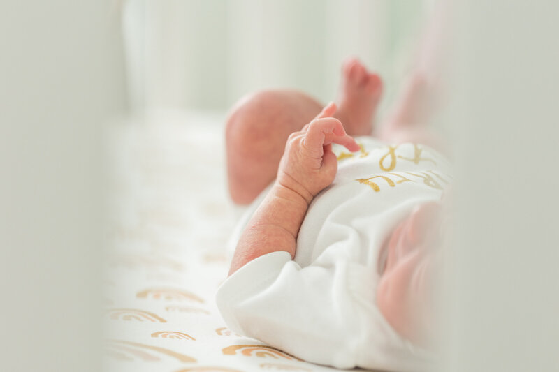Newborn photography Oahu