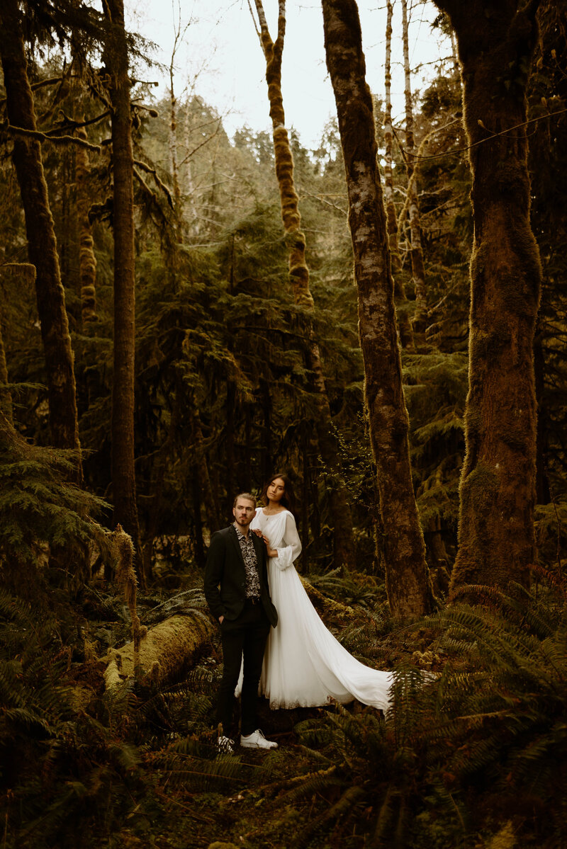 forestelopement