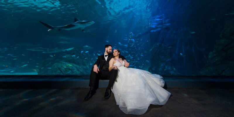 Couple sitting together in the shark tunnel at Adventure Aquarium, surrounded by swimming sharks for a unique wedding photo.