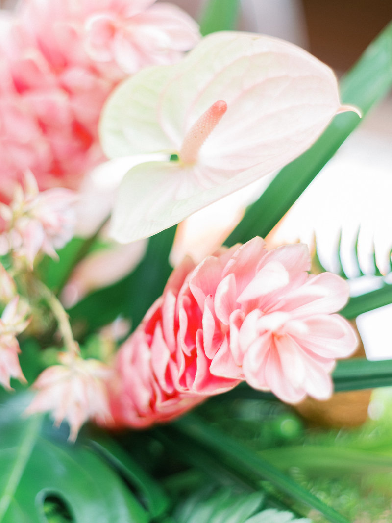 69LDM_0819_TROPIC