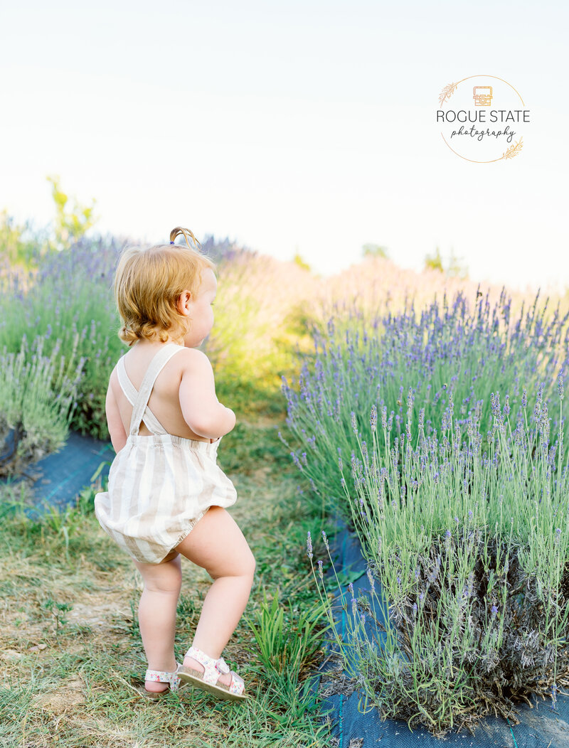 little girl walking in lavender field in dayton oh