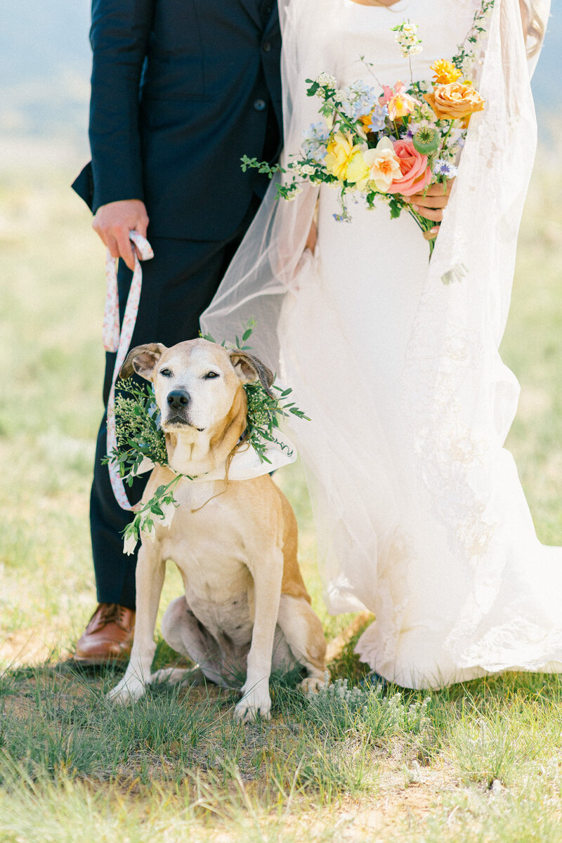 Barn-At-Sunset-Ranch-Buena-Vista-Wedding-Photographer-38
