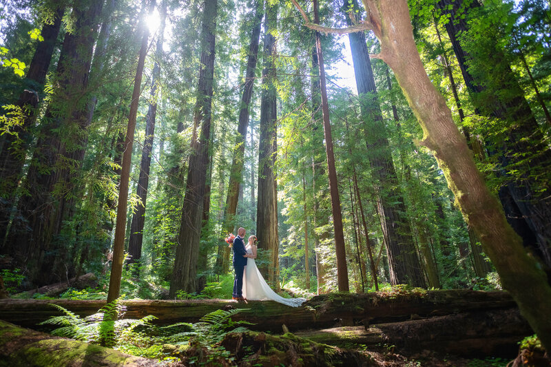 Magical and romantic wedding Portrait of a bride and groom at sunset in Humboldt County, California, by Parky's Pics Photography