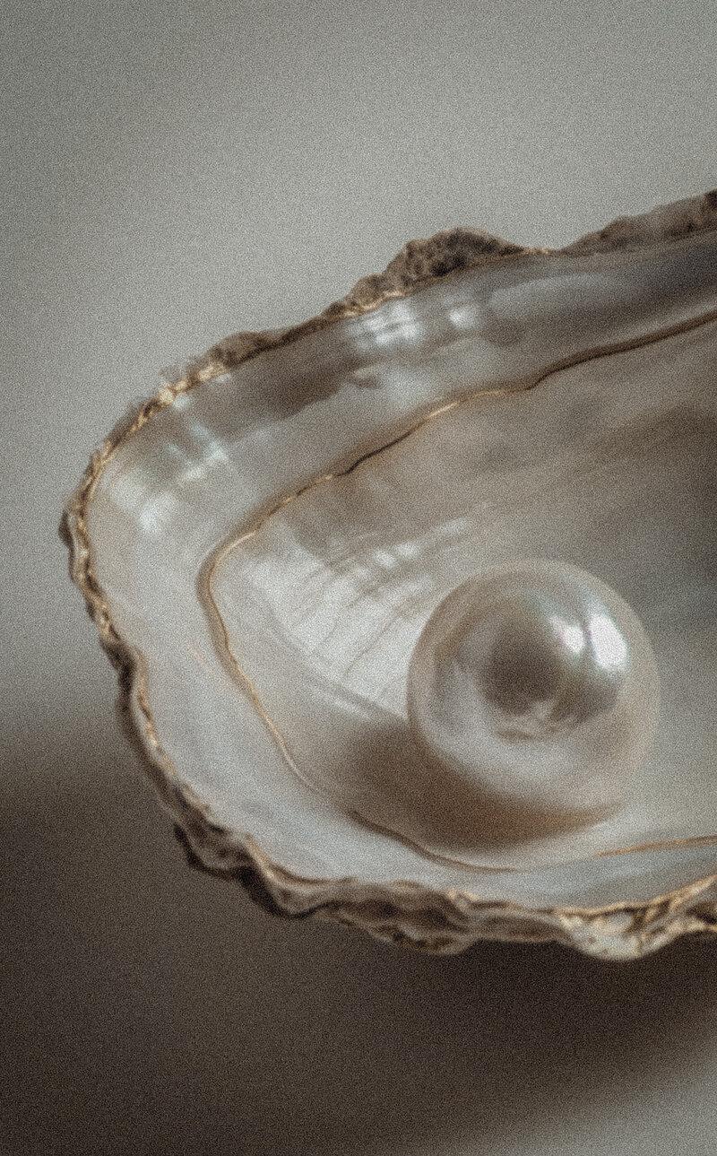 Gold gilded oyster shell with large pearl in the front of the oyster shell soft lit photo