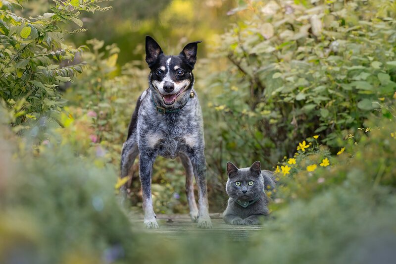 AWP FB 2025 Client Session (6 x 4 in) (2)