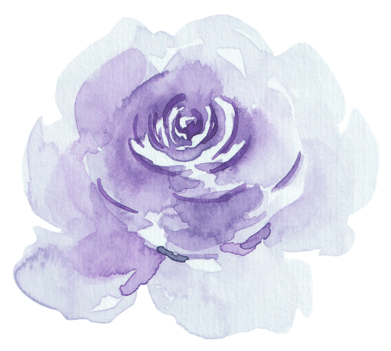 lavender rose 1