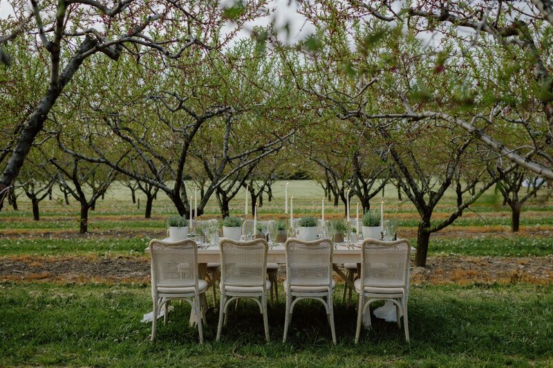 Long table decorated with candles and flowers for social event