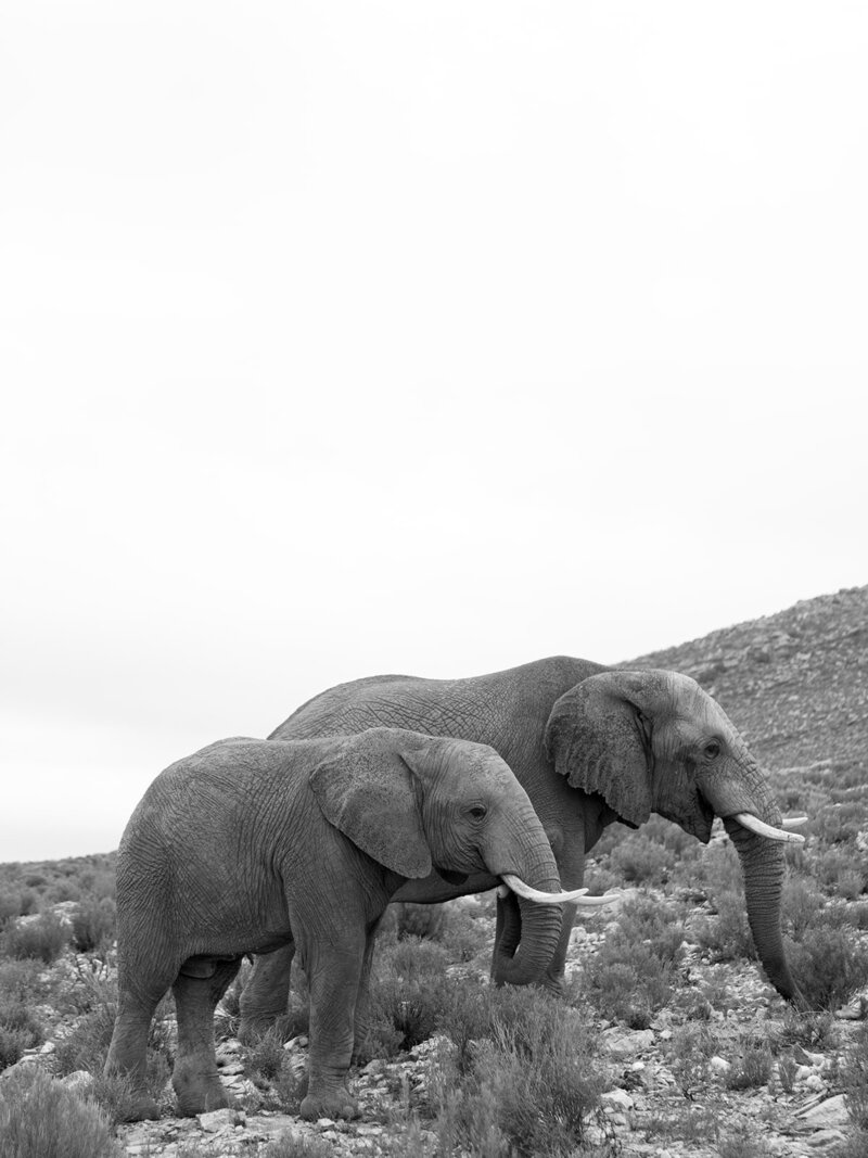 Elizabeth Austin Photography-23_websize (2)