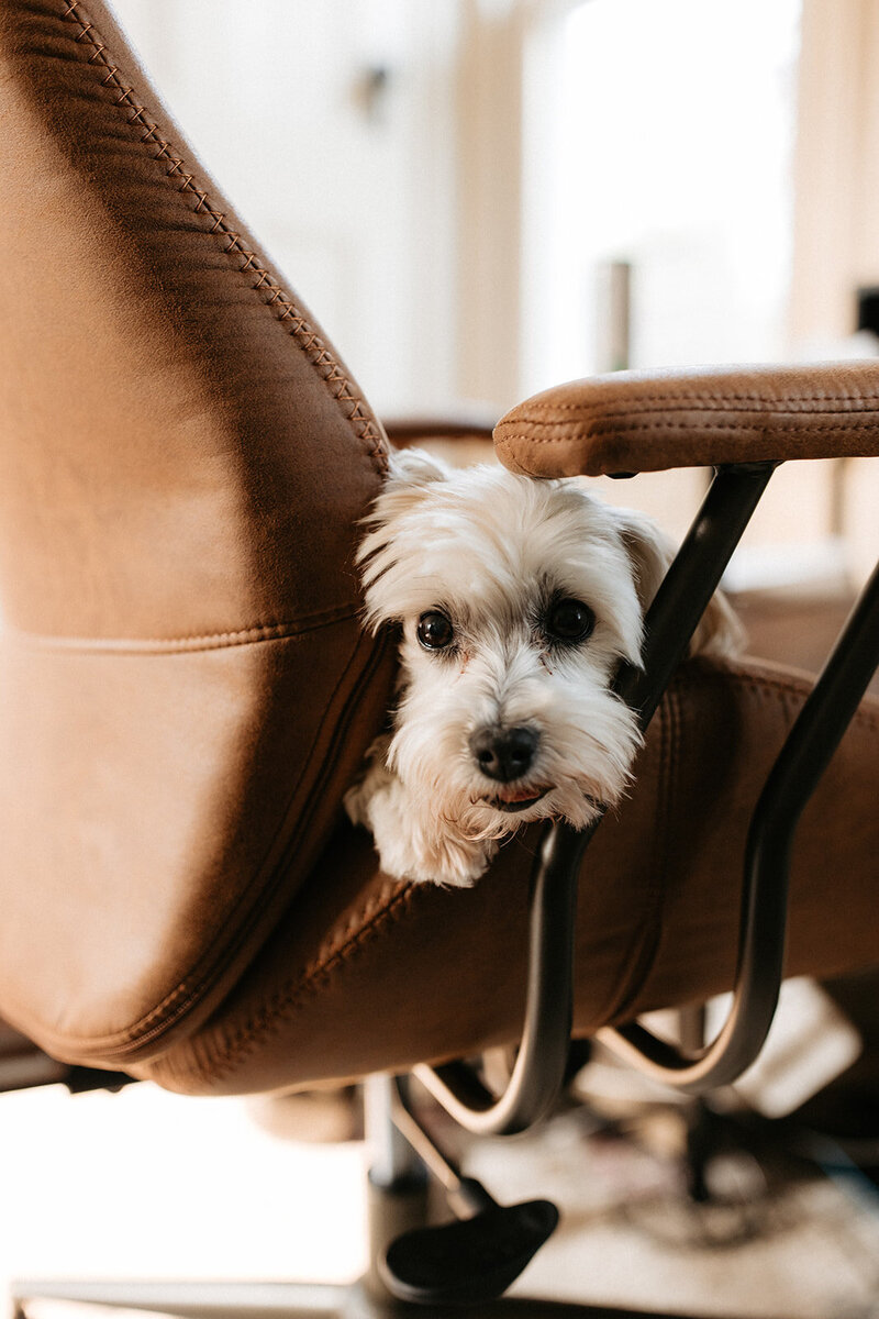 Hardins_Brand_Session_5.24.23-190