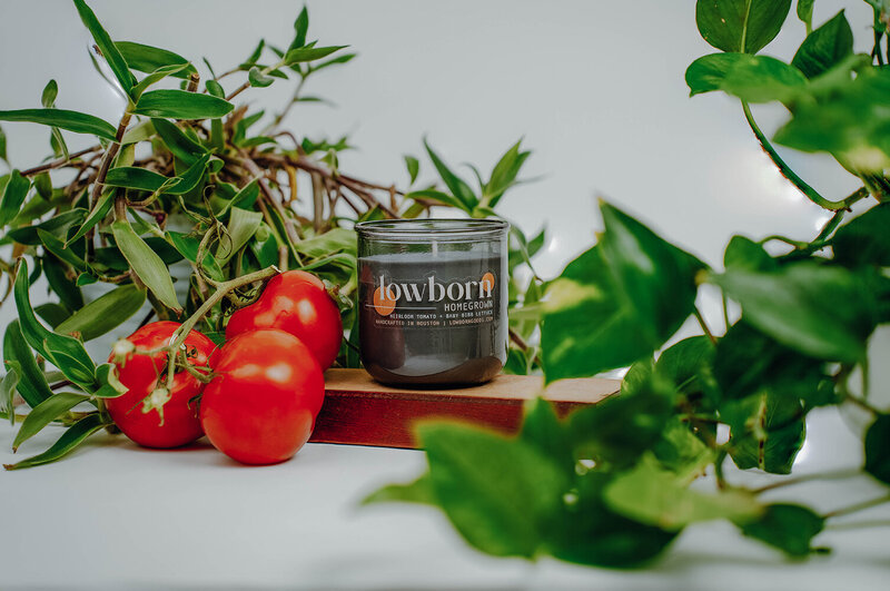 The homegrown candle, sitting on a wooden box. The candle is surrounded by vines, leaves, and greens, as well as a bunch of tomatoes. The image evokes a fresh herb and tomato garden on a sunshiny day.