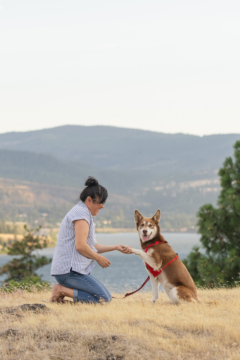 Kaori Stewart, Columbia Gorge Pet Photographer