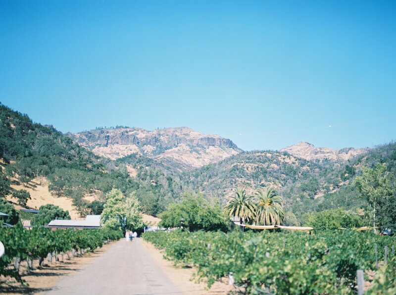 napa county wedding, calistoga california, bay area wedding, marin county wedding, wine country wedding