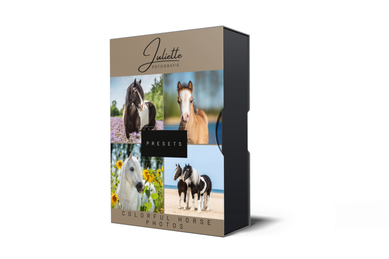 Preset Colorful horse - van Juliette Fotografie Academy