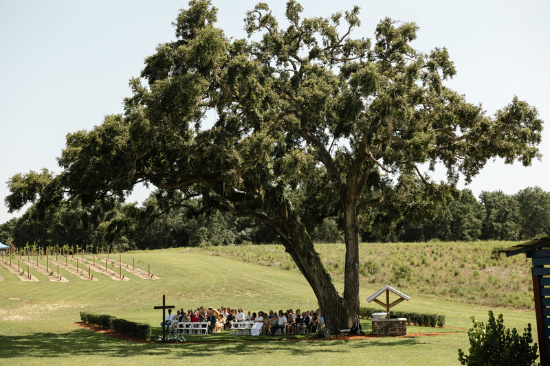 Portrait of the wedding ceremony