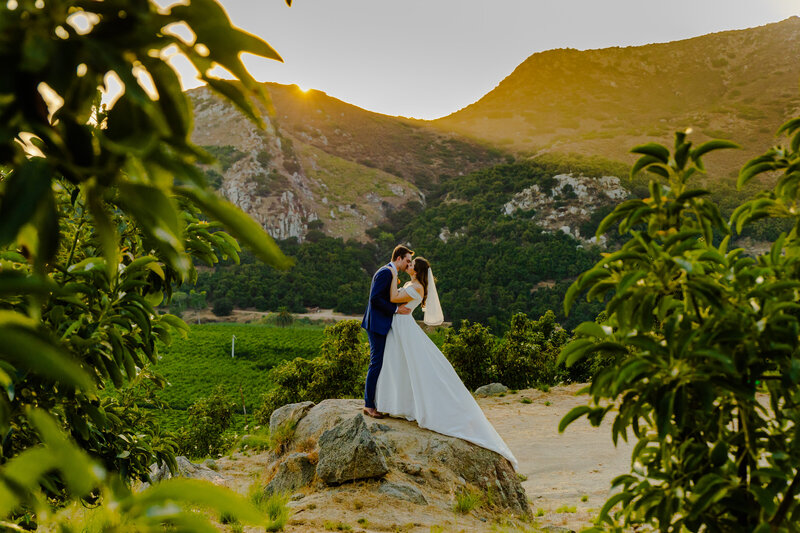 san_diego_wedding_photographer_san_diego_wedding_rancho_guejito_wedding_katherine_beth_photography