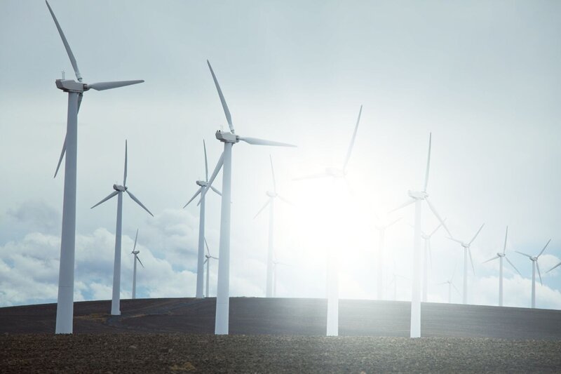 Scenic view of windmills