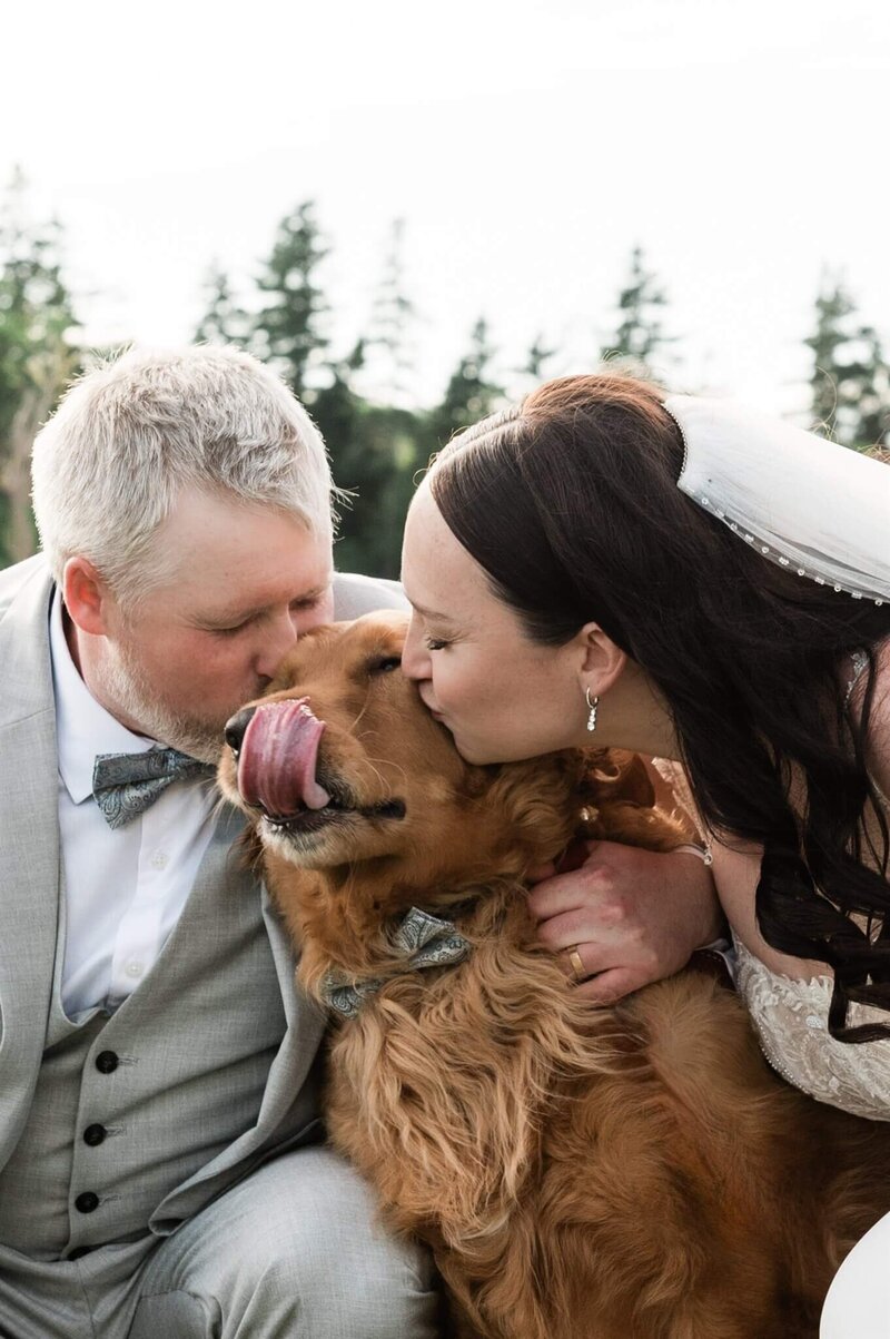 family-dog-wedding-cape-breton