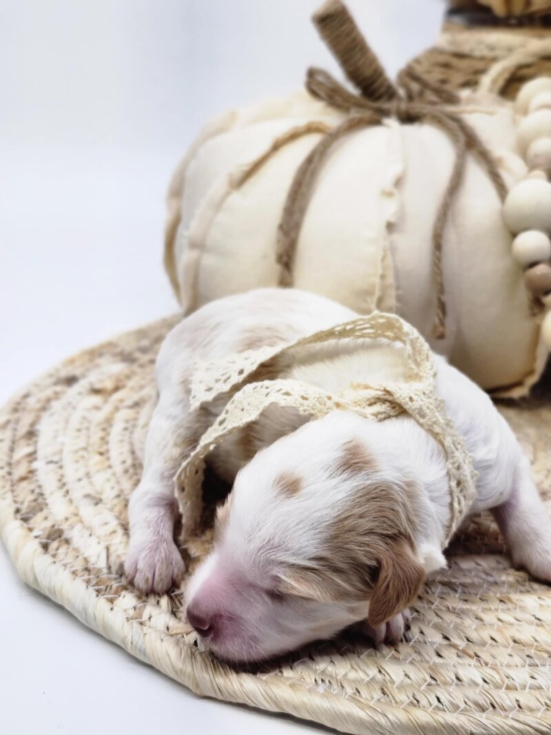 2e8a3888-76a6-4bc9-b1ac-484c0312fd68