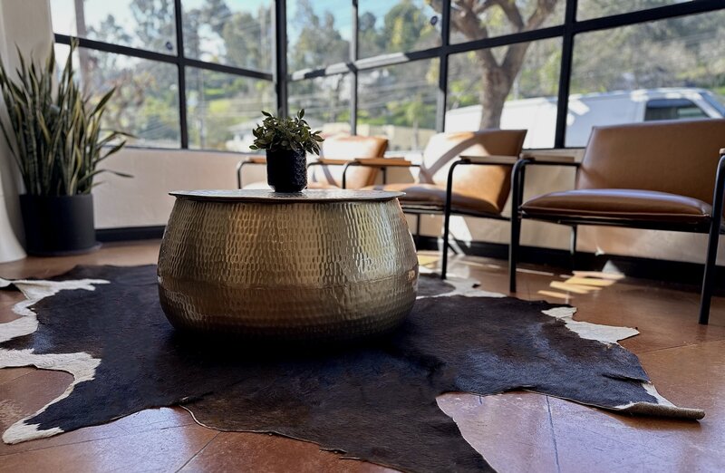 A photo of the reception area of our beauty salon at Wilde Beauty Co. in San Diego, showcasing our comfortable and stylish seating area where you can relax before and after your beauty treatments.